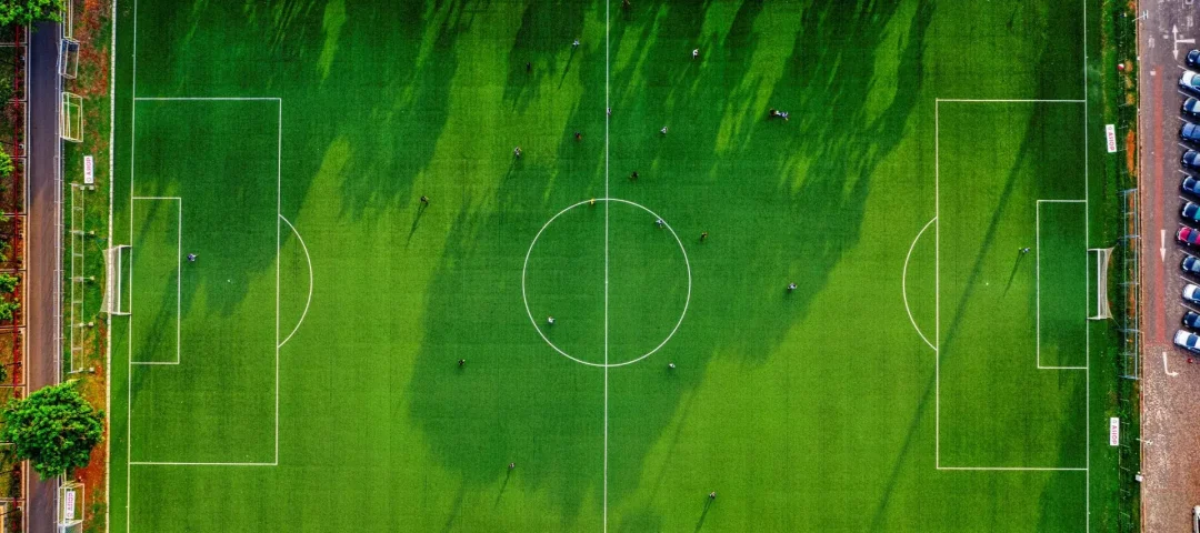 Artificial Grass Product