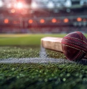 Cricket Turf Installation-4 Cricket Turf Construction in Noida